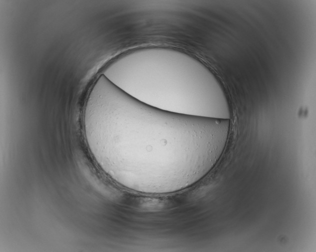 X0000114140347200910081031