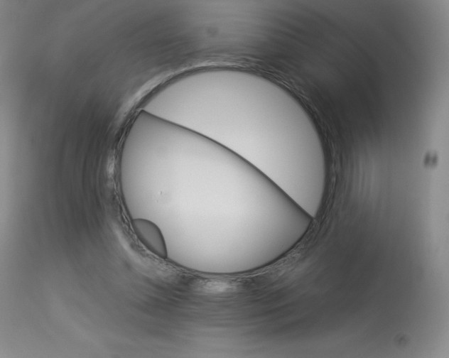 X0000114140348200910081031