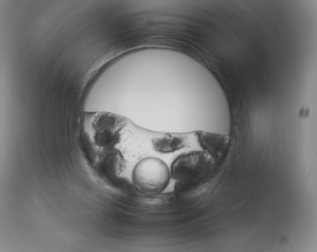 X0000114140349200910081031