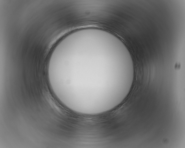 X0000114140350200910081031