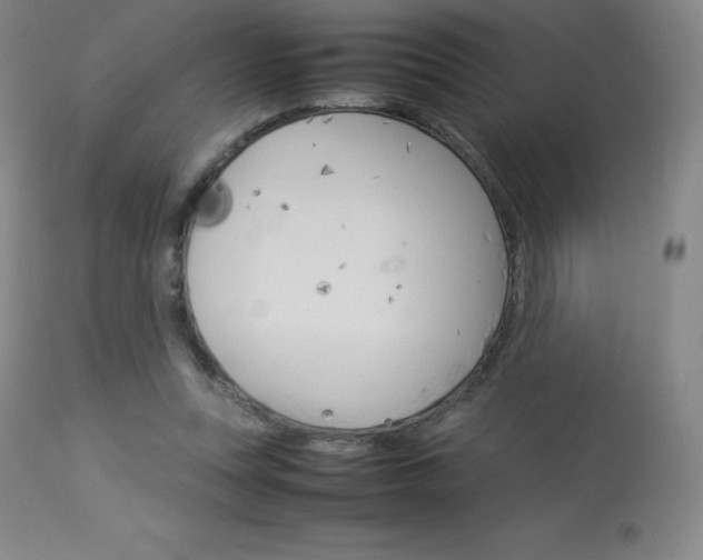 X0000114140351200910081031