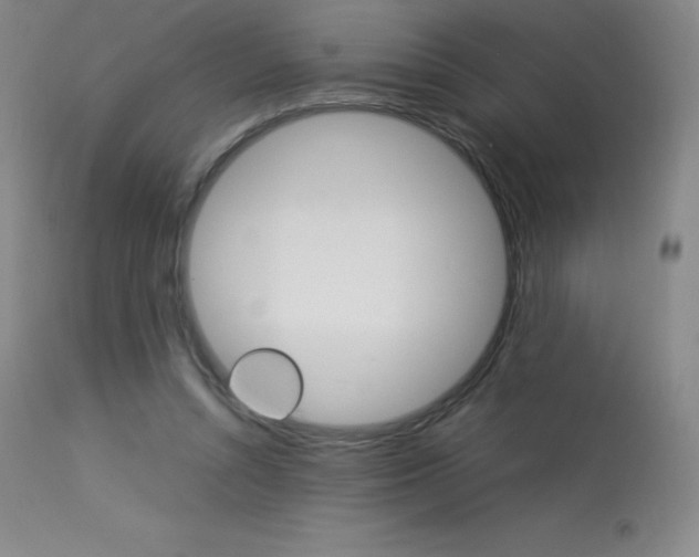 X0000114140352200910081031