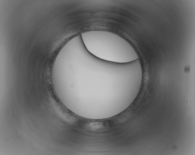 X0000114140353200910081031