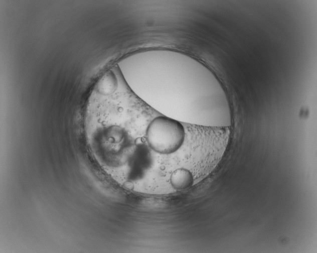 X0000114140354200910081031