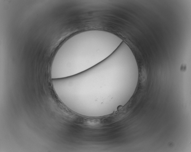 X0000114140355200910081031