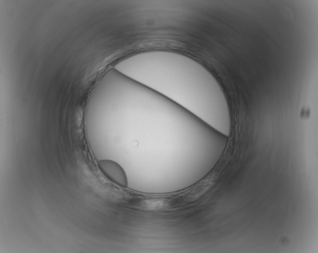 X0000114140356200910081031