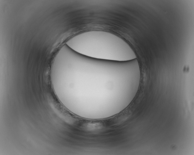 X0000114140357200910081031