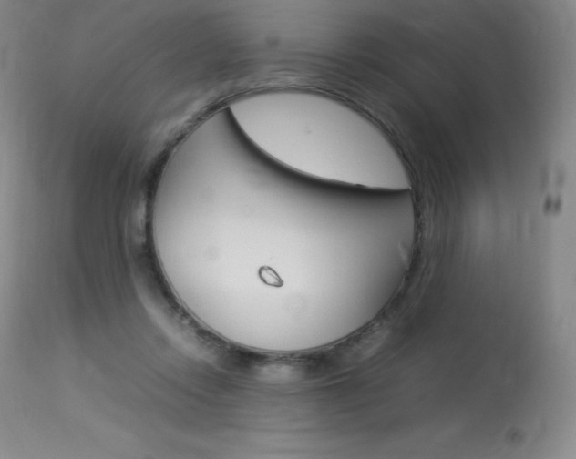 X0000114140358200910081031