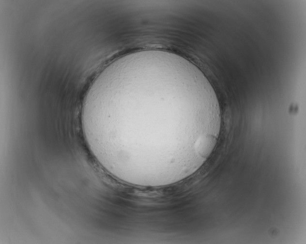 X0000114140359200910081031