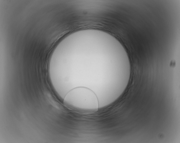 X0000114140360200910081031