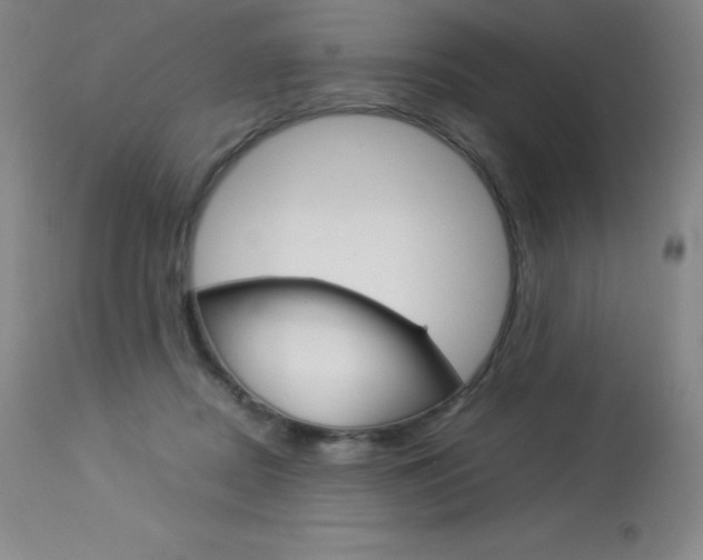 X0000114140362200910081032