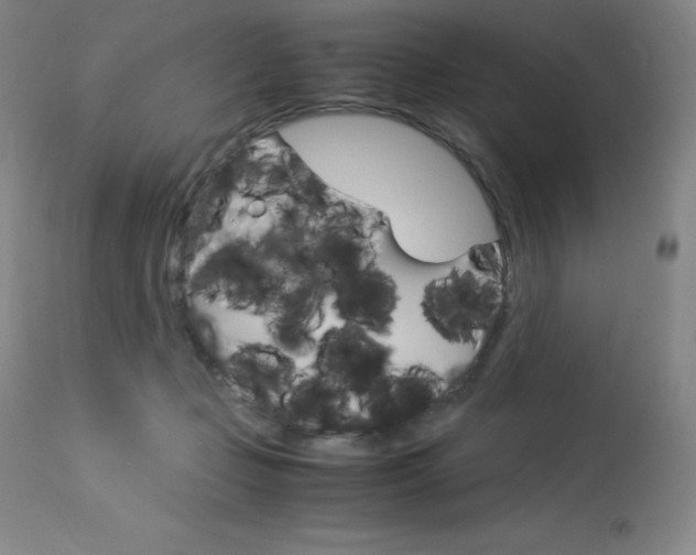 X0000114140365200910081032