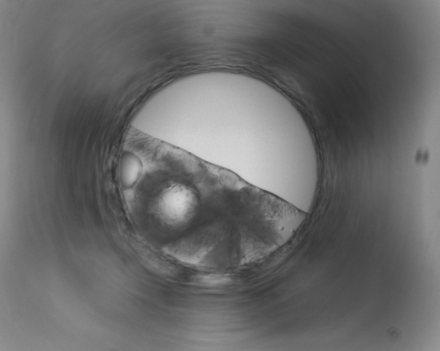 X0000114140366200910081032