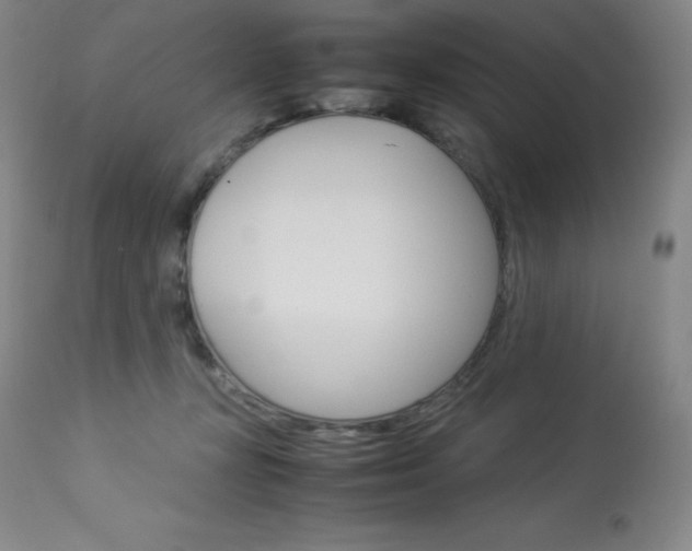 X0000114140367200910081032