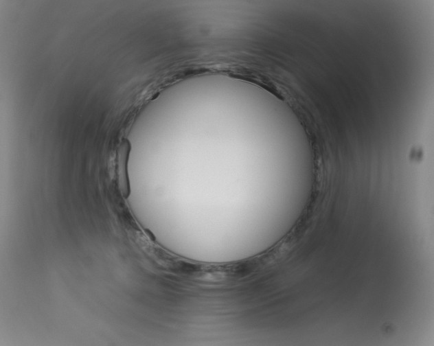 X0000114140368200910081032