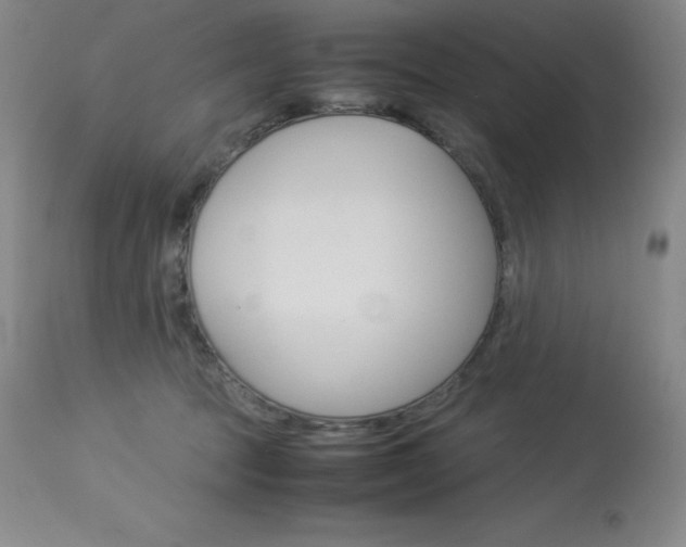 X0000114140369200910081032