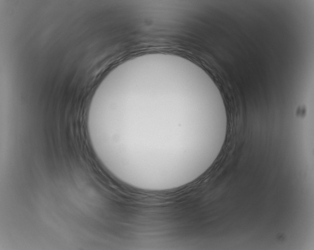 X0000114140376200910081032