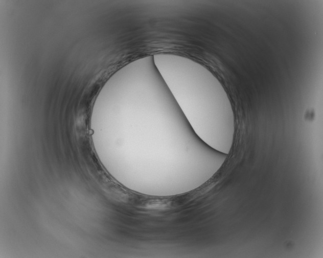 X0000114140377200910081032