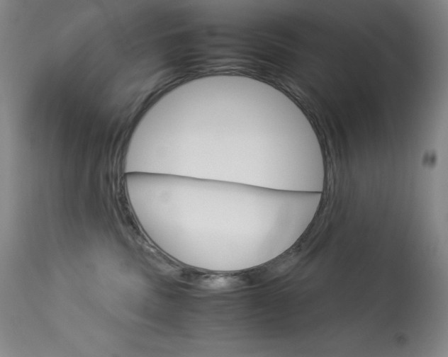 X0000114140379200910081032