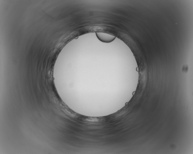 X0000114140381200910081032