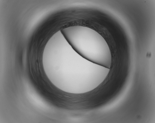 X0000114140382200910081032