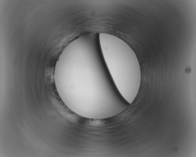 X0000114140383200910081032