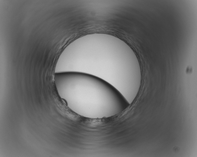 X0000114140384200910081032