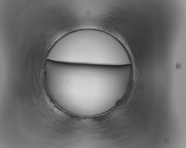 X0000114140385200910081031