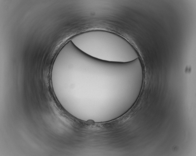 X0000114140386200910081031