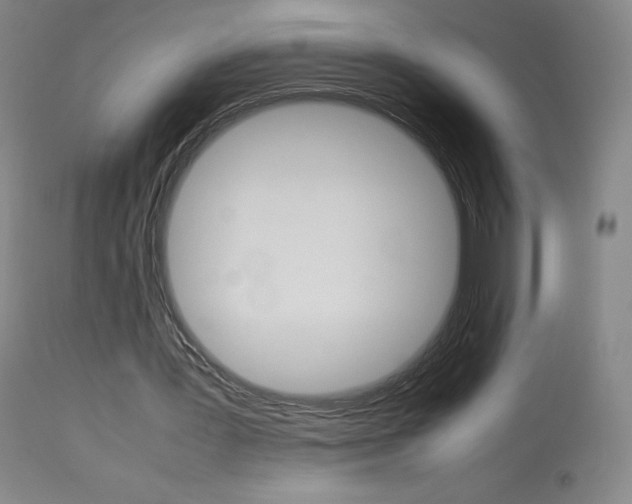 X0000114140387200910081031