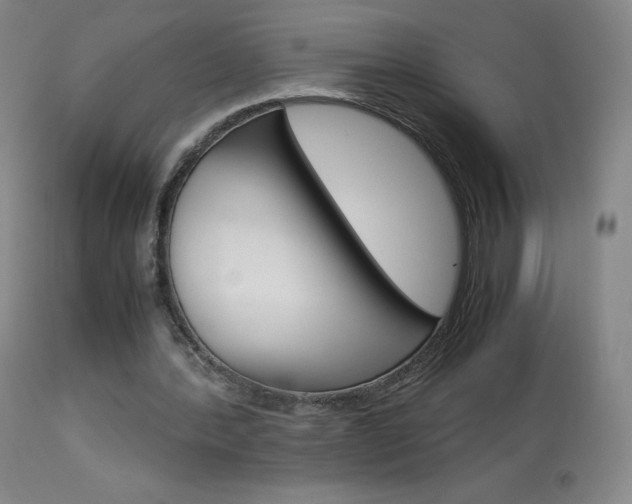 X0000114140388200910081031