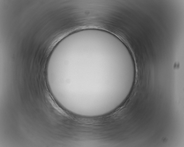 X0000114140389200910081031