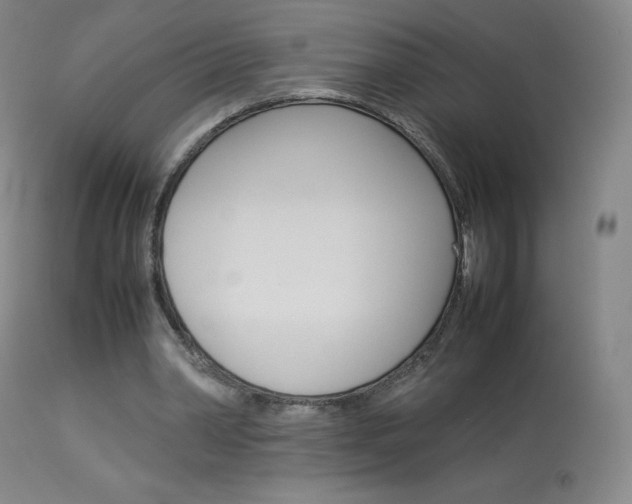 X0000114140390200910081031