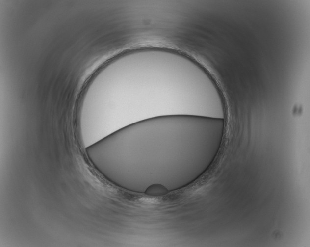 X0000114140391200910081031