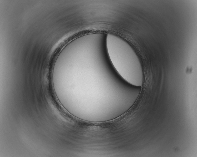 X0000114140392200910081031