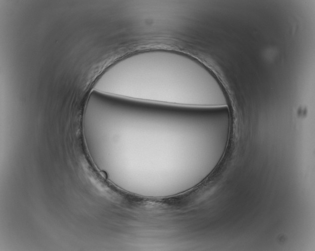 X0000114140393200910081031