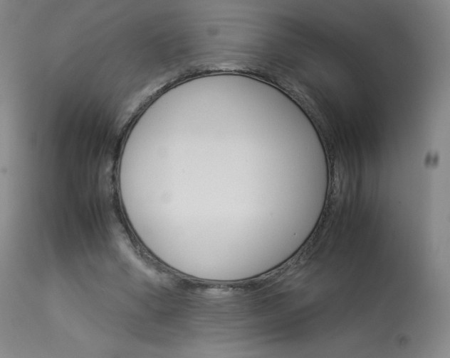 X0000114140394200910081031