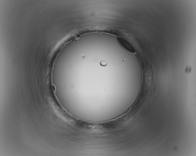 X0000114140395200910081031