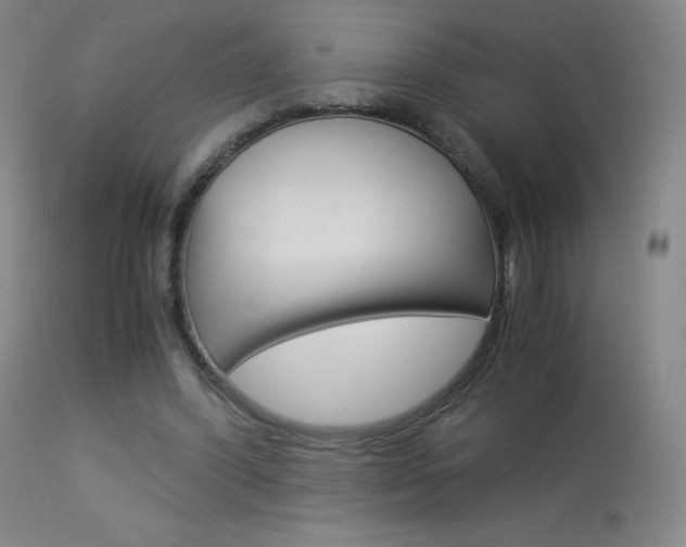 X0000114140396200910081031