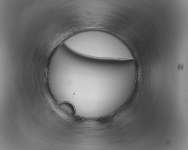 X0000114140397200910081031