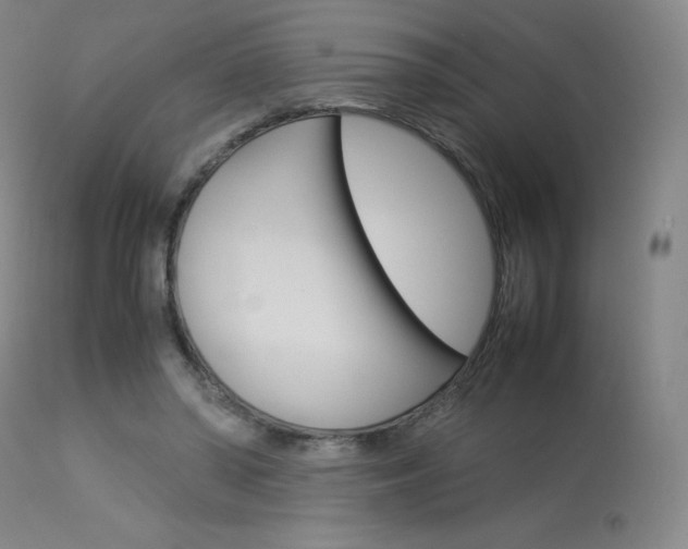 X0000114140398200910081031