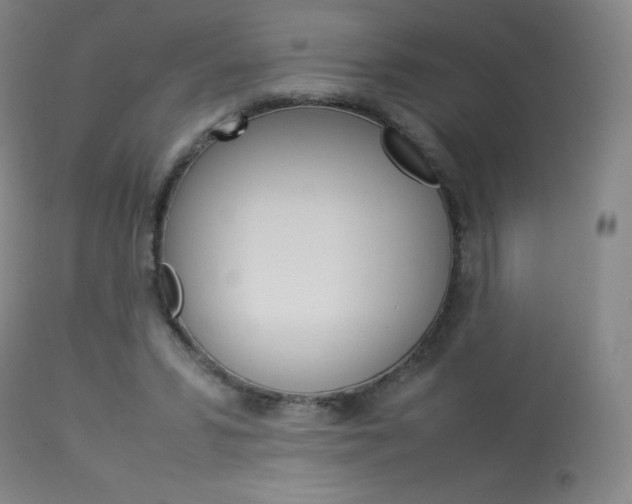 X0000114140399200910081031