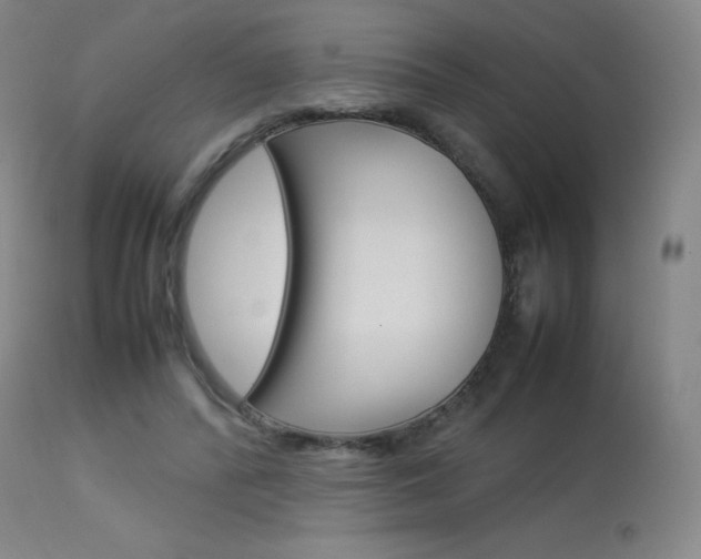 X0000114140400200910081031