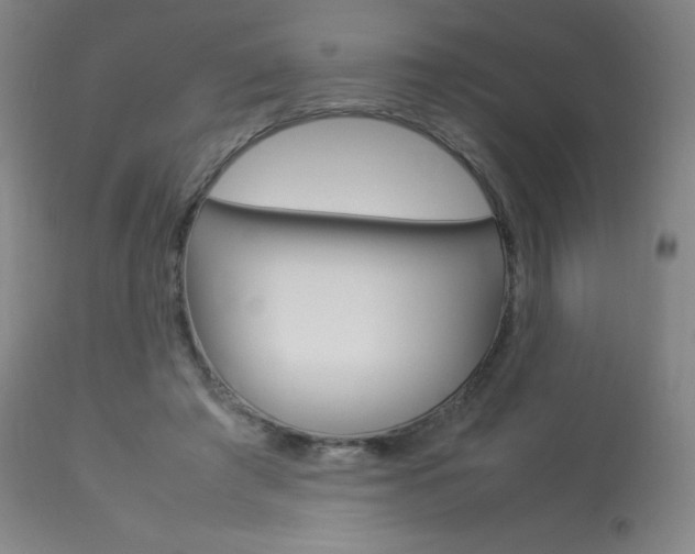 X0000114140401200910081031