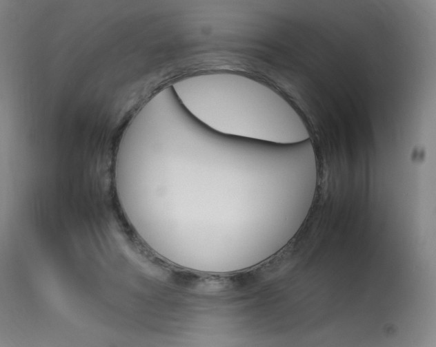 X0000114140402200910081031