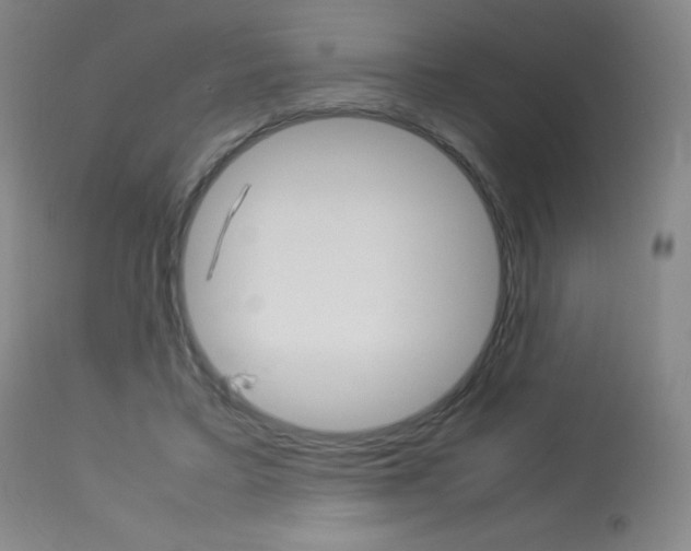 X0000114140403200910081031