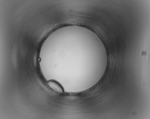 X0000114140404200910081031