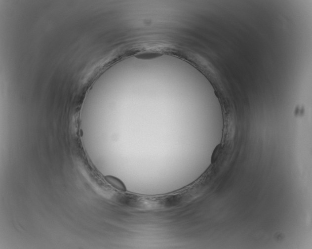 X0000114140405200910081031