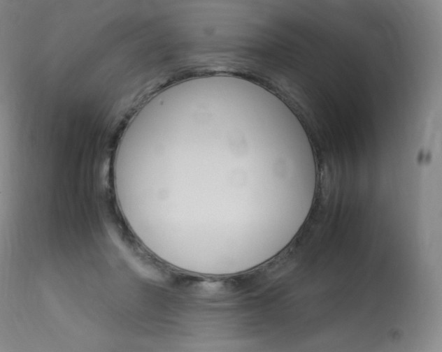 X0000114140406200910081031