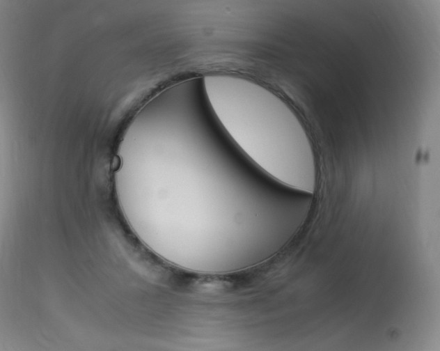 X0000114140407200910081031